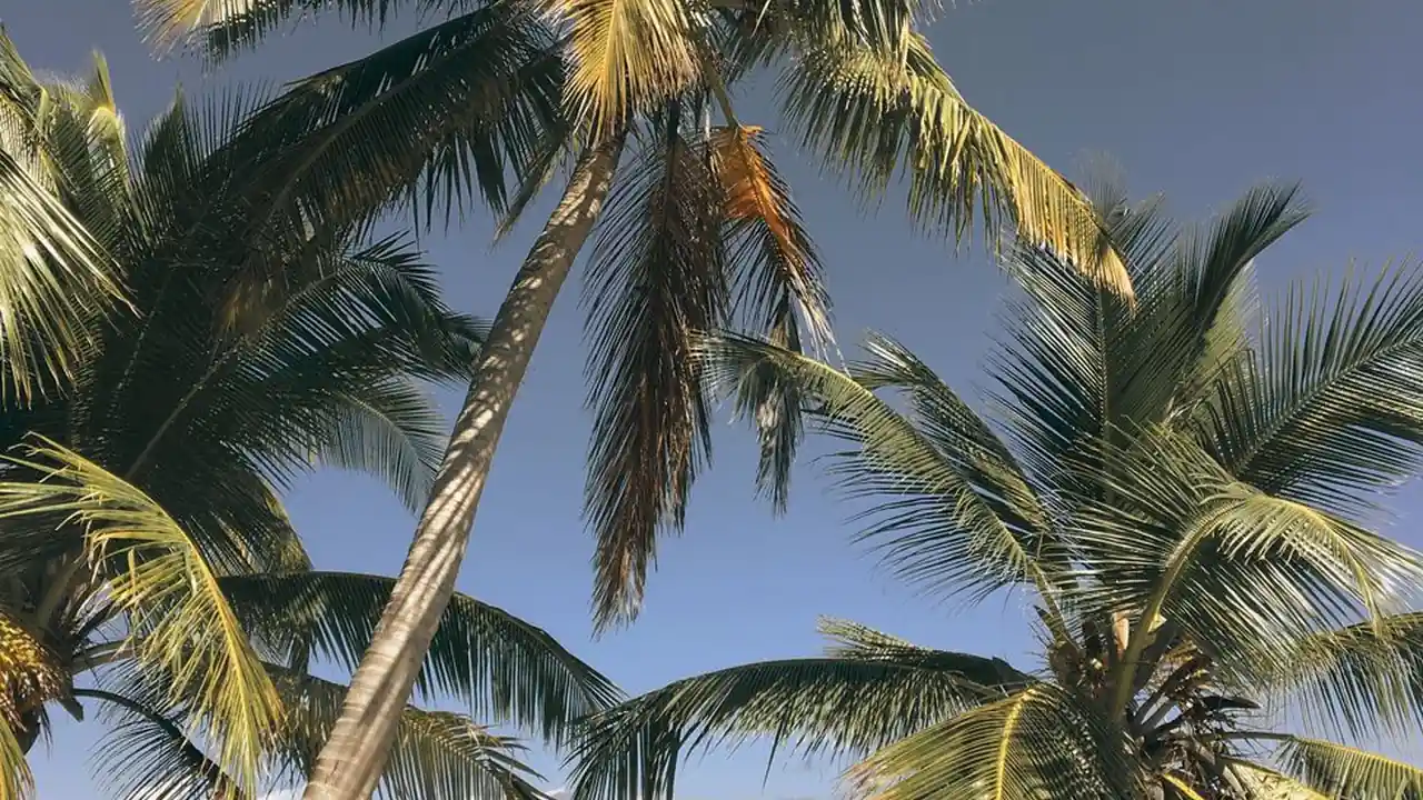 爱液安装包下载安装指南与使用教程